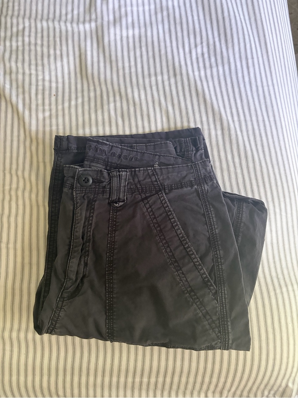 American Eagle Outfitters Women’s Cargo Pants 6 Long